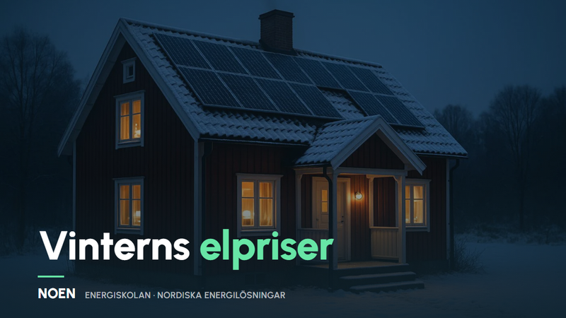 Höga elpriser i vinter? Så hjälper ett batteri dig kapa topparna