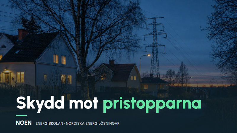 Elpriset 2026 – så skyddar du dig mot pristopparna